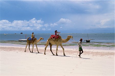 simsearch:841-02918817,k - Chameaux pour touristes, plage de Nyali, Kenya, Afrique de l'est, Afrique Photographie de stock - Rights-Managed, Code: 841-02824891