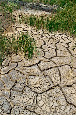 drought - Dry ground near the Pitch Lake, Trinidad, West Indies, Caribbean, Central America Stock Photo - Rights-Managed, Code: 841-02825541