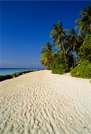 simsearch:841-03518373,k - Beach, Nakatchafushi, Maldive Islands, Indian Ocean Stock Photo - Rights-Managed, Code: 841-02825762