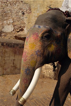 decorated asian elephants - Close-up of elephant at Amber Palace, Jaipur, Rajasthan state, India, Asia Stock Photo - Rights-Managed, Code: 841-02826161
