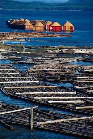 Logs booms on the Campbell River, British Columbia, Canada, North America Stock Photo - Rights-Managed, Code: 841-02831035