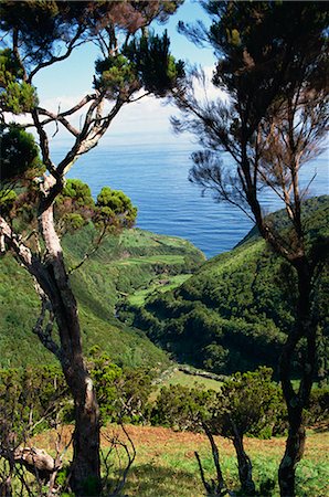 portugal ocean view - Caldeira de Cima, Sao Jorge, Azores, Portugal, Atlantic, Europe Stock Photo - Rights-Managed, Code: 841-02831233