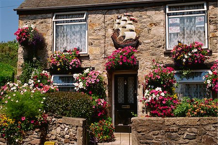 Cottage garden, Marazion, Cornwall, England, United Kingdom, Europe Stock Photo - Rights-Managed, Code: 841-02831425