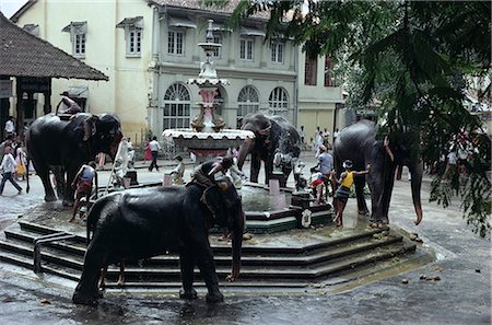 sri lankan elephant - Bathing elephants in fountain, Kandy, Sri Lanka, Asia Stock Photo - Rights-Managed, Code: 841-02899277