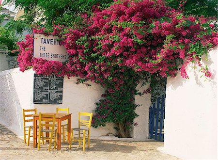 flowers greece - The Three Brothers Taverna, with menu, tables and chairs under bougainvillea, on Hydra, Argo Saronic Islands, Greek Islands, Greece, Europe Stock Photo - Rights-Managed, Code: 841-02899584
