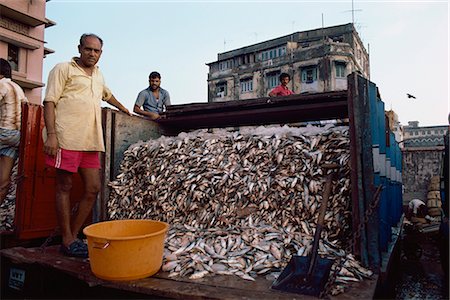Fish market, Mumbai, India, Asia Stock Photo - Rights-Managed, Code: 841-02900281