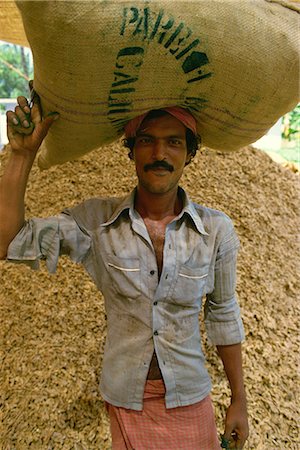 sack - Labourer carries sack of stem ginger, Cochin, Kerala state, India, Asia Stock Photo - Rights-Managed, Code: 841-02900373