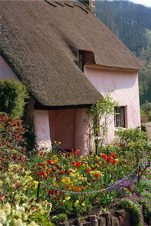 somerset house - Pink washed thatched cottage at Dunster in Somerset, England, United Kingdom, Europe Stock Photo - Rights-Managed, Code: 841-02901559