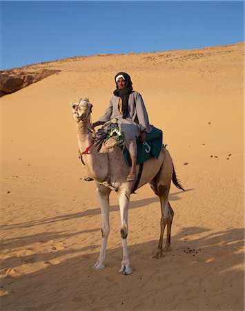 simsearch:841-02947168,k - Camel rider, near Aswan, Egypt, North Africa, Africa Foto de stock - Con derechos protegidos, Código: 841-02902742