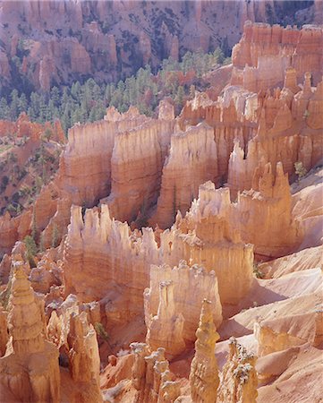 pinnacles desert - Rock Hoodoos from Sunset Point, Bryce Canyon National Park, Utah, United States of America, North America Foto de stock - Con derechos protegidos, Código: 841-02902900