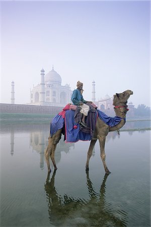 simsearch:841-02703267,k - Camel and rider in front of the Taj Mahal and Yamuna (Jumna) River, Taj Mahal, UNESCO World Heritage Site, Agra, Uttar Pradesh state, India, Asia Stock Photo - Rights-Managed, Code: 841-02903026