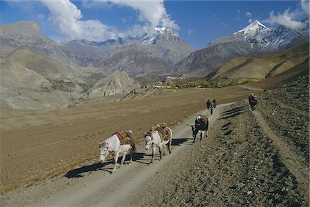 simsearch:841-02915818,k - Thorung La Pass, Jharkot region, Mustang, Nepal Stock Photo - Rights-Managed, Code: 841-02903172