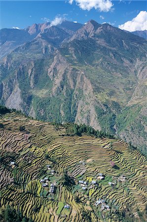 simsearch:841-02915818,k - Terraced fields in upper Trisuli Valley, above village of Bharku, Trisuli, Himalayas, Nepal, Asia Stock Photo - Rights-Managed, Code: 841-02915759
