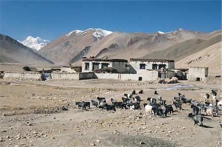 simsearch:841-02915818,k - Village in Ra valley above Tingri, Cho Oyu and Himalayas in distance, Tibetan Plateau, Tibet, China, Asia Stock Photo - Rights-Managed, Code: 841-02915769