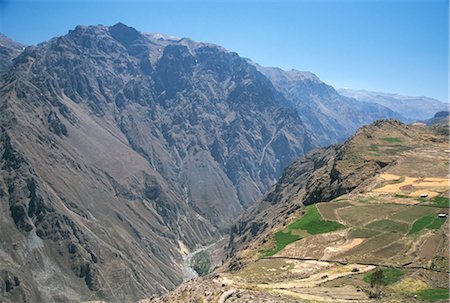 fields peru - Canyon below Chivay, Colca Canyon, Peru, South America Stock Photo - Rights-Managed, Code: 841-02915813