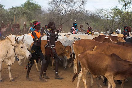 simsearch:841-08059656,k - Ritual dancing round cows and bulls before the initiate jumps, Jumping of the Bulls initiation ceremony of the Hamer (Hamar) people, Turmi, Lower Omo Valley, Ethiopia, Africa Stock Photo - Rights-Managed, Code: 841-02917049