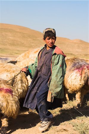 simsearch:841-02946644,k - Shepherd boy tending his flock, between Chakhcharan and Jam, Afghanistan, Asia Stock Photo - Rights-Managed, Code: 841-02917110