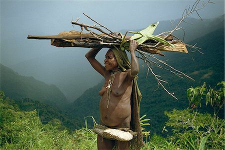 Yali woman carrying wood on her head, Irian Jaya, Island of New Guinea, Indonesia, Southeast Asia, Asia Stock Photo - Rights-Managed, Code: 841-02917568