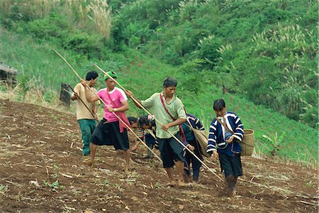 simsearch:841-02946091,k - Lahu men and women sowing seed in a sloping field near Chiang Mai, Thailand, Southeast Asia, Asia Stock Photo - Rights-Managed, Code: 841-02918532