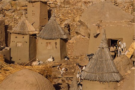 simsearch:400-06076338,k - Goats and grain store in Dogon village, Bandiagara Escarpment, Mali, West Africa, Africa Stock Photo - Rights-Managed, Code: 841-02918779