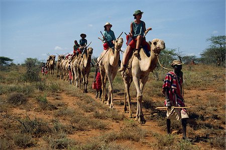 simsearch:841-02918817,k - Tourists on camels, led by Samburu tribesman, Samburuland, Kenya, East Africa, Africa Foto de stock - Con derechos protegidos, Código: 841-02918817