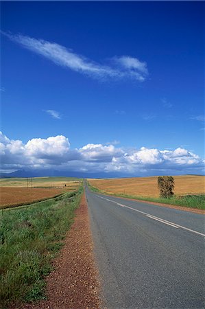 road, south africa - The R319 road leading north east through agricultural area north of Bredasdorp, Western Cape Province, South Africa, Africa Stock Photo - Rights-Managed, Code: 841-02918884