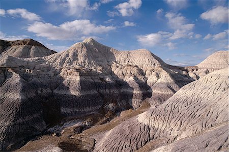 petrified (fossilized) - Blue Mesa, Petrified Forest National Park, Arizona, United States of America (U.S.A.), North America Stock Photo - Rights-Managed, Code: 841-02918922