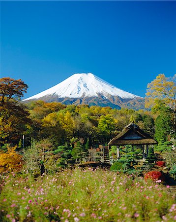 simsearch:841-02706346,k - Mt. Fuji, Japan Stock Photo - Rights-Managed, Code: 841-02919947
