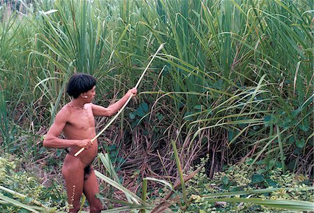 simsearch:841-02709392,k - Yanomami Indian collecting reed for arrows, Brazil, South America Stock Photo - Rights-Managed, Code: 841-02924012