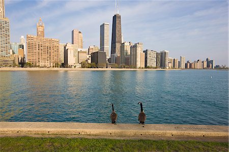 simsearch:841-02925122,k - Near North skyline, Chicago, Illinois, United States of America, North America Stock Photo - Rights-Managed, Code: 841-02925029