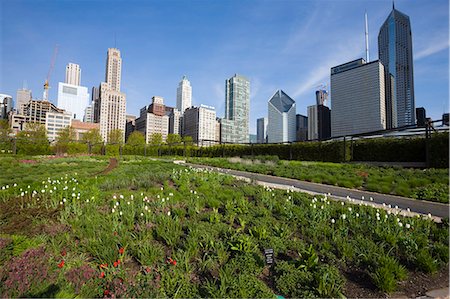 simsearch:841-02925122,k - Lurie Garden, Millennium Park, Chicago, Illinois, United States of America, North America Stock Photo - Rights-Managed, Code: 841-02925034