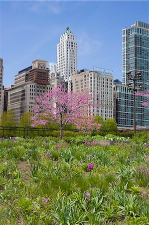 simsearch:841-02925122,k - The Lurie Garden, Millennium Park, Chicago, Illinois, United States of America, North America Stock Photo - Rights-Managed, Code: 841-02925076
