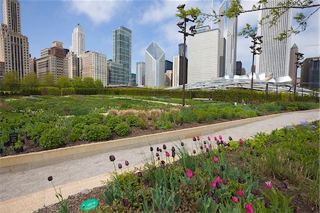 simsearch:841-02925122,k - The Lurie Garden, Millennium Park, Chicago, Illinois, United States of America, North America Stock Photo - Rights-Managed, Code: 841-02925078