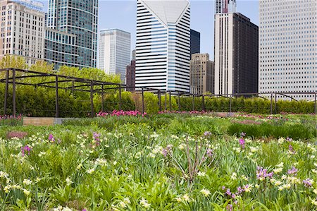 simsearch:841-02925122,k - The Lurie Garden, Millennium Park, Chicago, Illinois, United States of America, North America Stock Photo - Rights-Managed, Code: 841-02925122