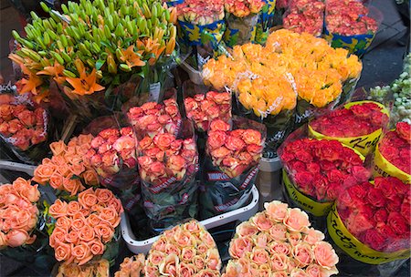 Tulips for sale in the Bloemenmarkt (flower market), Amsterdam, Netherlands, Europe Stock Photo - Rights-Managed, Code: 841-02925174