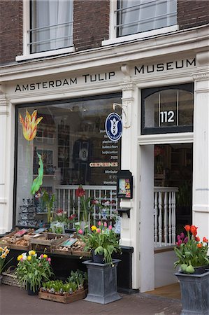Amsterdam Tulip Museum, Jordaan, Amsterdam, Netherlands, Europe Stock Photo - Rights-Managed, Code: 841-02925265