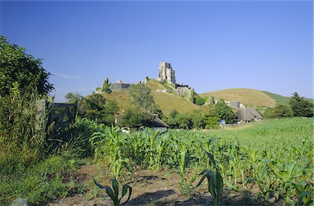 simsearch:841-02707104,k - Découvre à travers champs pour le château de Corfe, Dorset, Angleterre, Royaume-Uni, Europe Photographie de stock - Rights-Managed, Code: 841-02920955