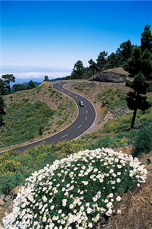 Road near Las Moradas, La Palma, Canary Islands, Spain, Europe Foto de stock - Con derechos protegidos, Código: 841-02923653