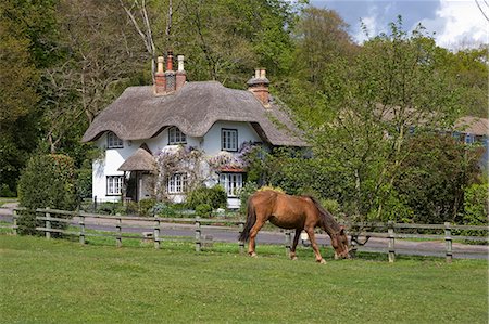 pony - Thatched cottage and pony, New Forest, Hampshire, England, United Kingdom, Europe Stock Photo - Rights-Managed, Code: 841-02944183