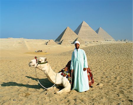 simsearch:841-02947168,k - Camel and owner at Giza Pyramids, Giza, Cairo, Egypt, North Africa, Africa Foto de stock - Con derechos protegidos, Código: 841-02944368