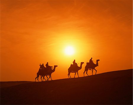 silhouette group people - Riders silhouetted on camels at sunset, Giza, Cairo, Egypt, North Africa, Africa Stock Photo - Rights-Managed, Code: 841-02944376