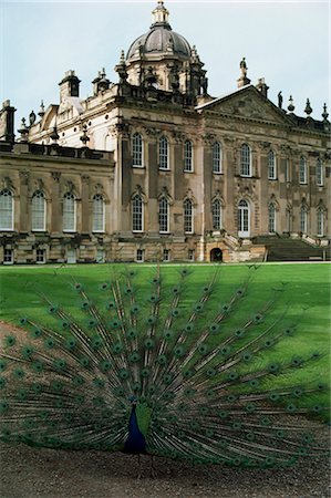 simsearch:841-02916154,k - Castle Howard, Yorkshire, England, United Kingdom, Europe Stock Photo - Rights-Managed, Code: 841-02944638