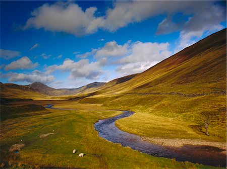 Glen Shee, Tayside, Scotland, United Kingdom, Europe Stock Photo - Rights-Managed, Code: 841-02945023