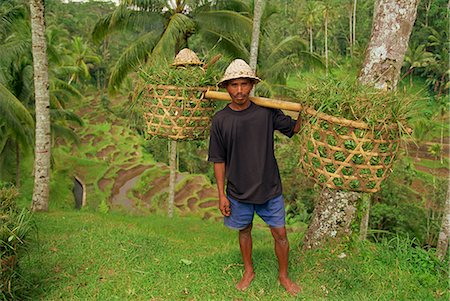 simsearch:841-02916002,k - Portrait of a paddy field worker carrying baskets on Bali, Indonesia, Southeast Asia, Asia Stock Photo - Rights-Managed, Code: 841-02945126
