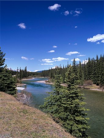 Bow River at Mount Temple viewpoint on the Trans-Canada Highway, Banff National Park, UNESCO World Heritage Site, Rocky Mountains, Alberta, Canada, North America Stock Photo - Rights-Managed, Code: 841-02946236