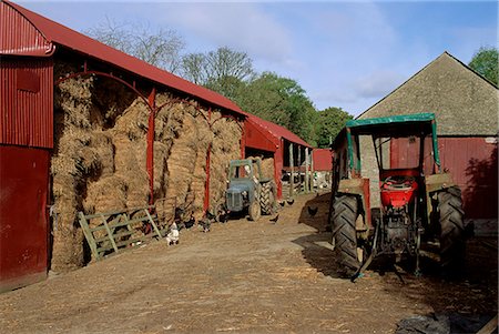 farmyard - A farm, near Avoca, County Wicklow, Leinster, Eire (Republic of Ireland), Europe Foto de stock - Con derechos protegidos, Código: 841-02946557
