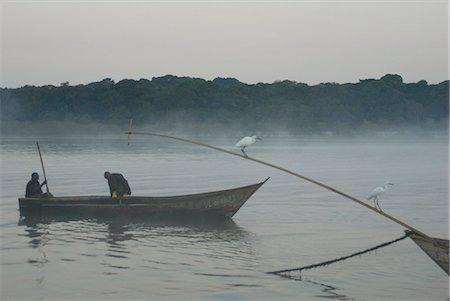 Bugala Island, Lake Victoria, Uganda, East Africa, Africa Stock Photo - Rights-Managed, Code: 841-02943605