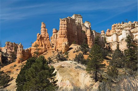 Cedar Breaks National Monument, Utah, United States of America, North America Stock Photo - Rights-Managed, Code: 841-03028071