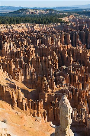 Bryce Canyon National Park, Utah, United States of America, North America Stock Photo - Rights-Managed, Code: 841-03028086