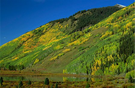 Aspens by lake, San Juan Skyway, Colorado, United States of America, North America Stock Photo - Rights-Managed, Code: 841-03029638